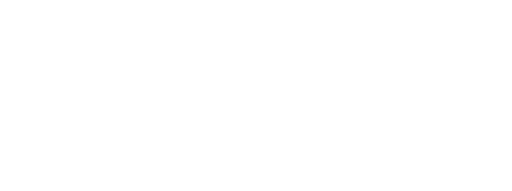 Peswa logo — DDC26 partner